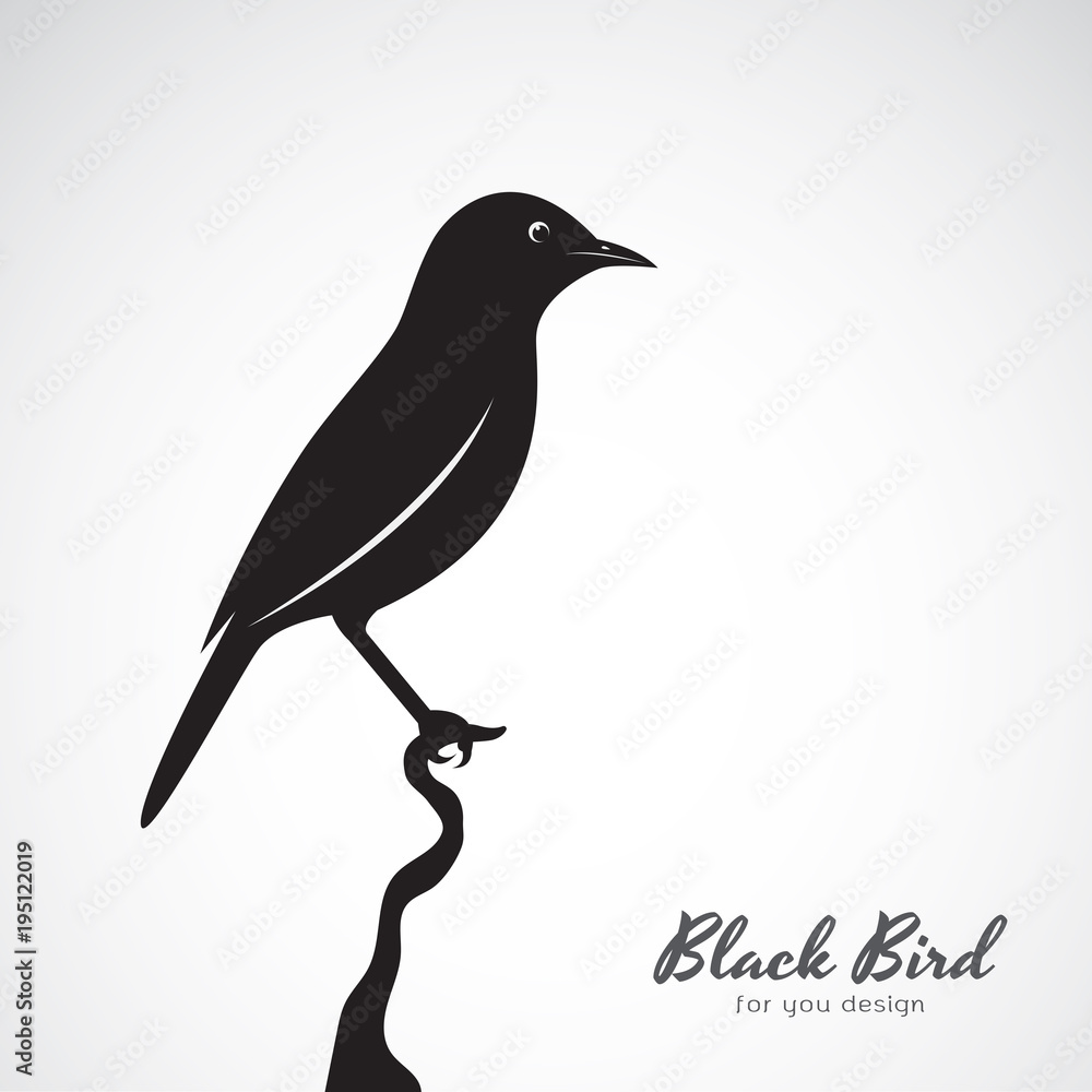 Fototapeta premium Vector of a black bird on white background. Animal. Easy editable layered vector illustration.