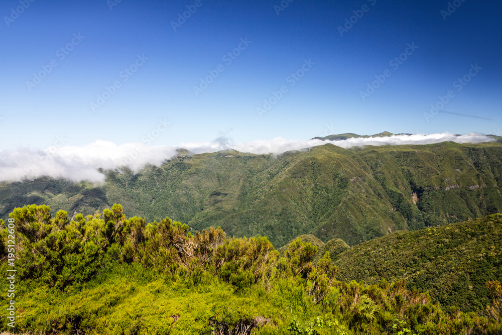 Fototapeta premium Green hills, Madeira island nature, Portugal