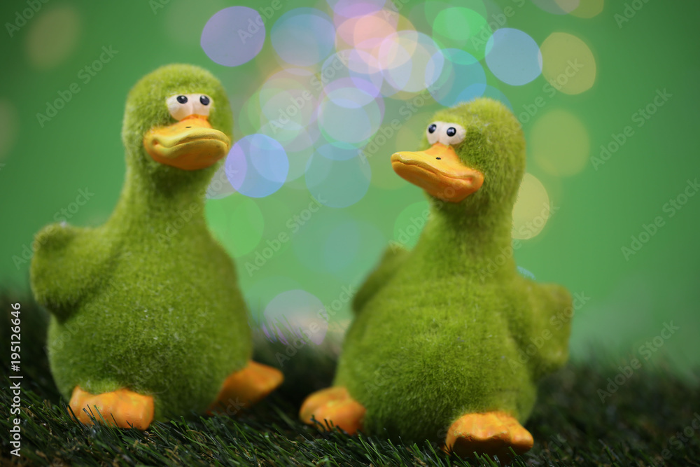 funny ducks in front of green background, bouquet