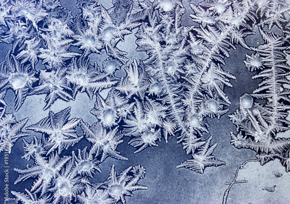 Ornaments on a frozen window like marine plants Ornaments on a frozen window like marine plants