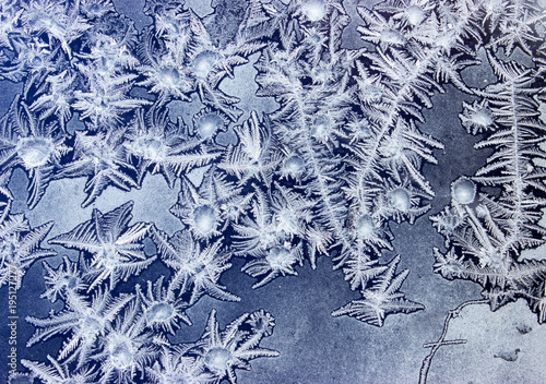 Ornaments on a frozen window like marine plants