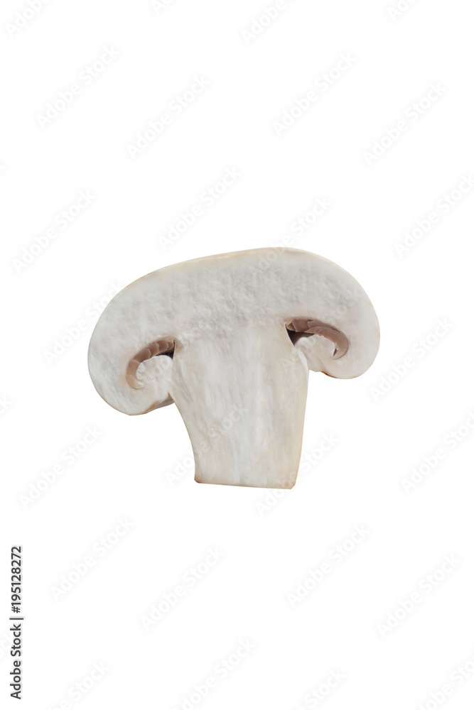 isolated sliced mushroom isolated sliced mushroom