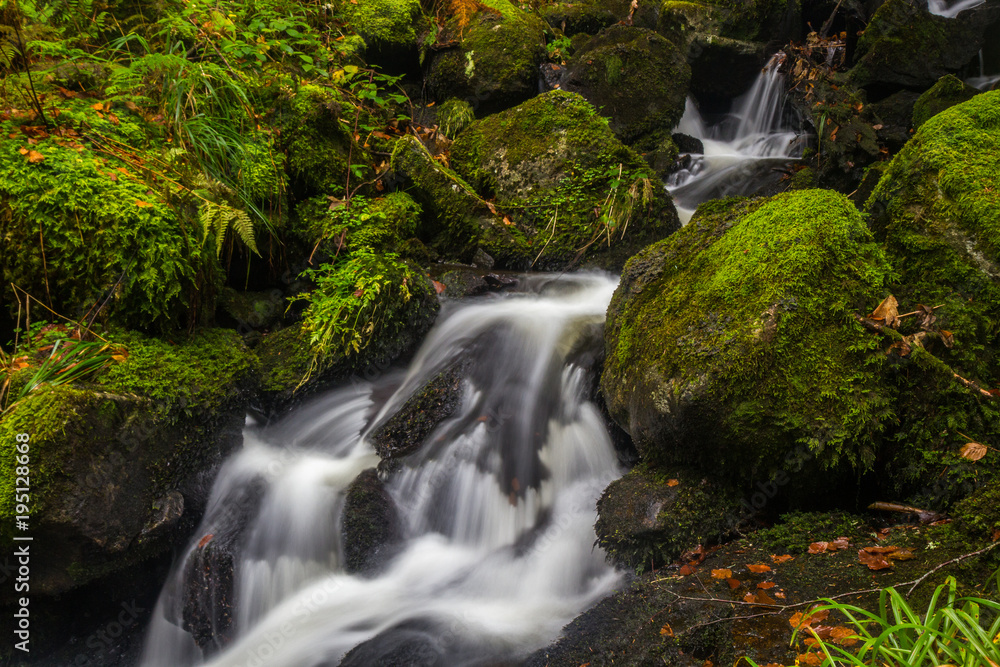 Waterfall at Vosges National Park