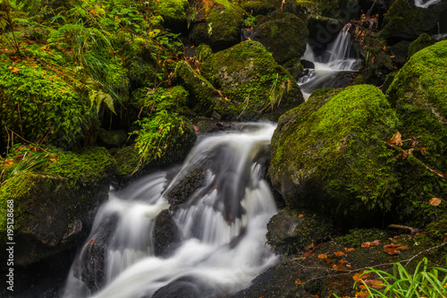 Fototapeta Naklejka Na Ścianę i Meble -  Waterfall at Vosges National Park