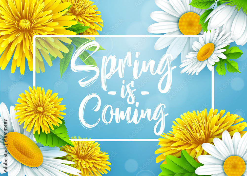 Fototapeta premium Spring is coming with rectangle frame, and flower on blue background