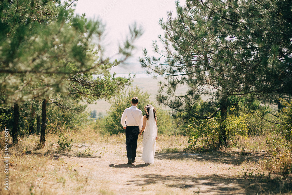 The groom in a white shirt and the bride in a wedding dress and veil go hand in hand over the sunny forest The groom in a white shirt and the bride in a wedding dress and veil go hand in hand over the sunny forest