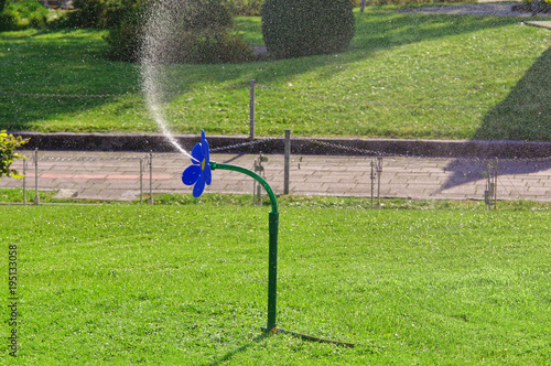 Fototapeta Naklejka Na Ścianę i Meble -  water sprinkler in the green grass