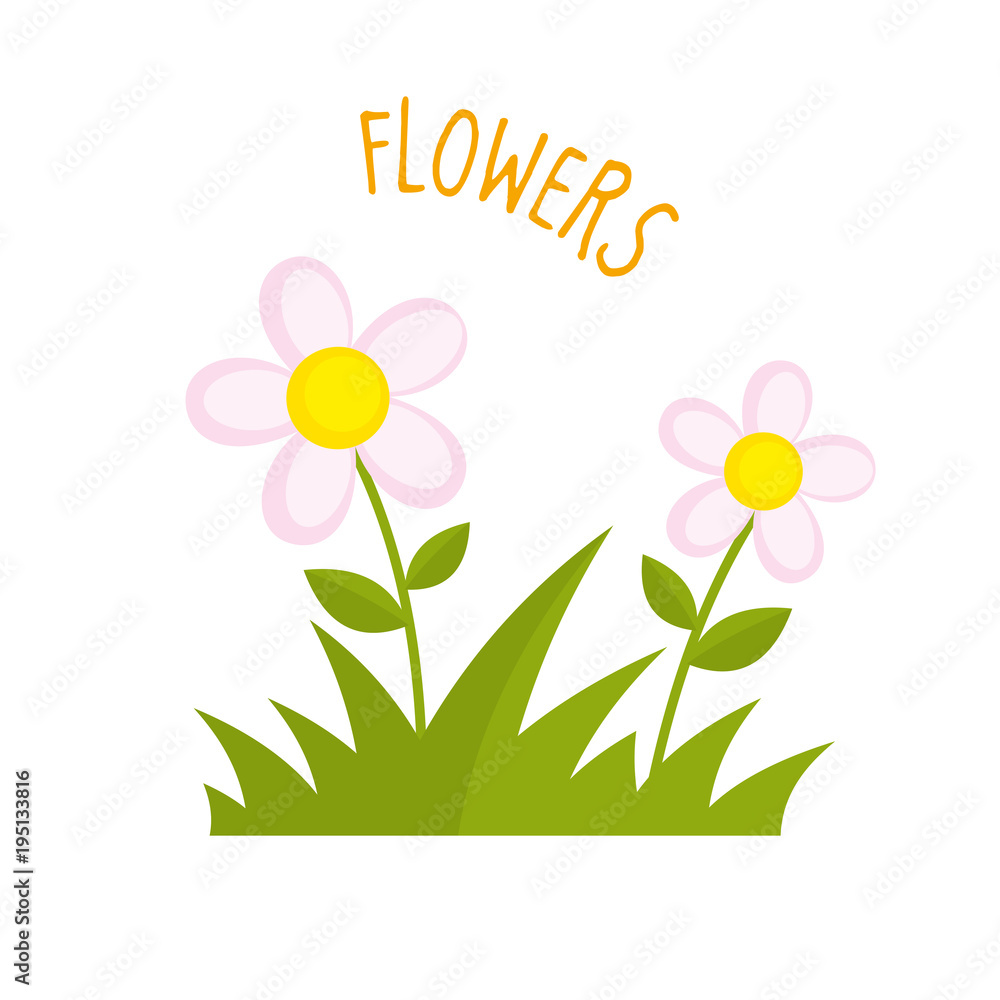 Flowers vector illustration