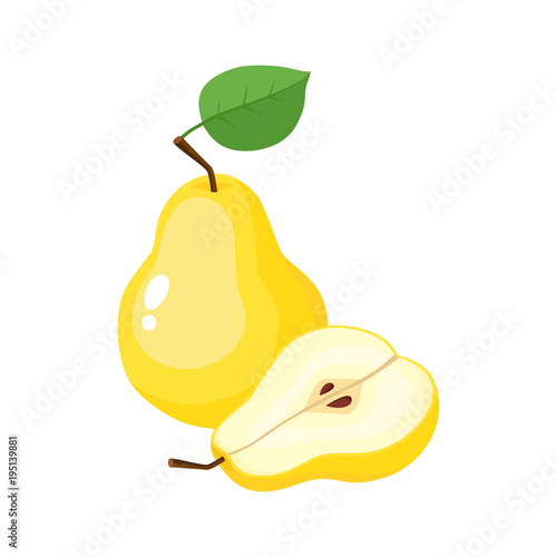 Bright vector illustration of juicy pears isolated on white.