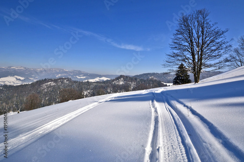 Winter landscape in Pieniny mountains, Poland