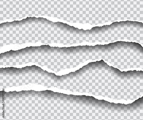 horizontally torn edges of paper, isolated vector on a transparent background