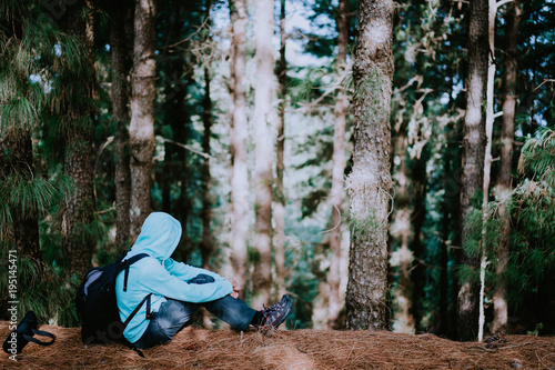 Traveler take a rest during hike in mysterious pine tree forest and endjoyed the silence. Santo Antao Island, Cape Verde photo