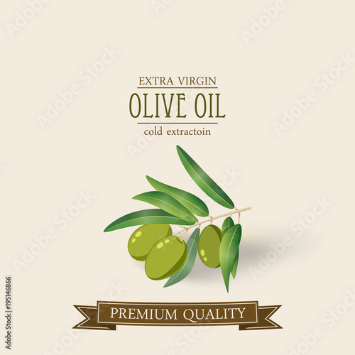 Olive branch oil label cartoon style, vector, isolated