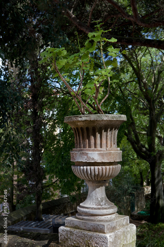 Lisbon Portugal park Lisbon Portugal park