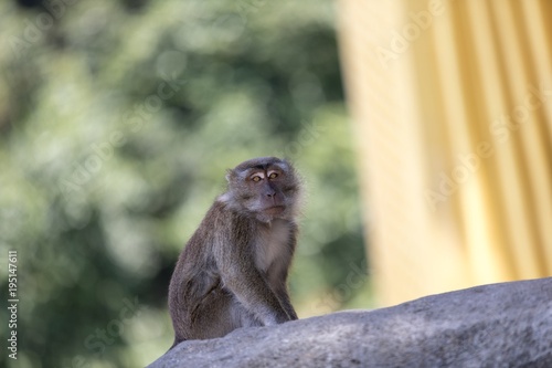 Photography Kuala Lumpur