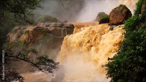 Landscape of waterfall flows rapidly with dense trees and captured closeup.