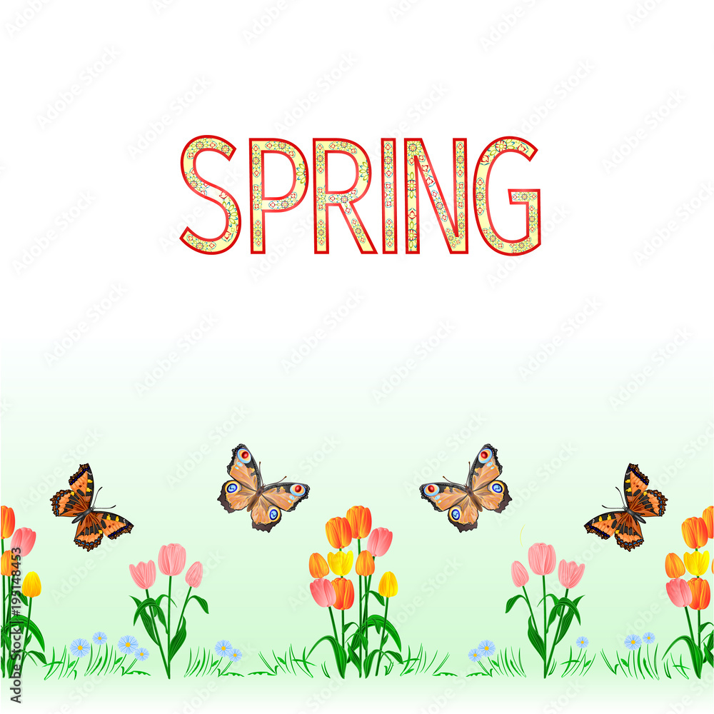Spring border seamless background tulips with butterfly vector Illustration for use in interior design, artwork, dishes, clothing, packaging, greeting cards