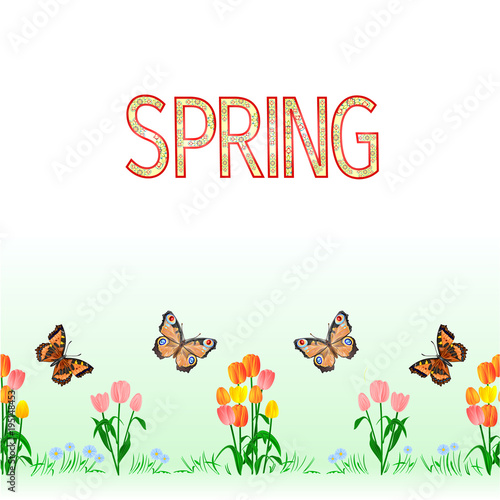 Spring border seamless background tulips with butterfly vector Illustration for use in interior design, artwork, dishes, clothing, packaging, greeting cards