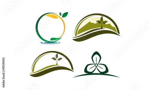 Leaf Template Vector Set