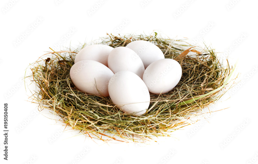 Group of duck eggs Group of duck eggs