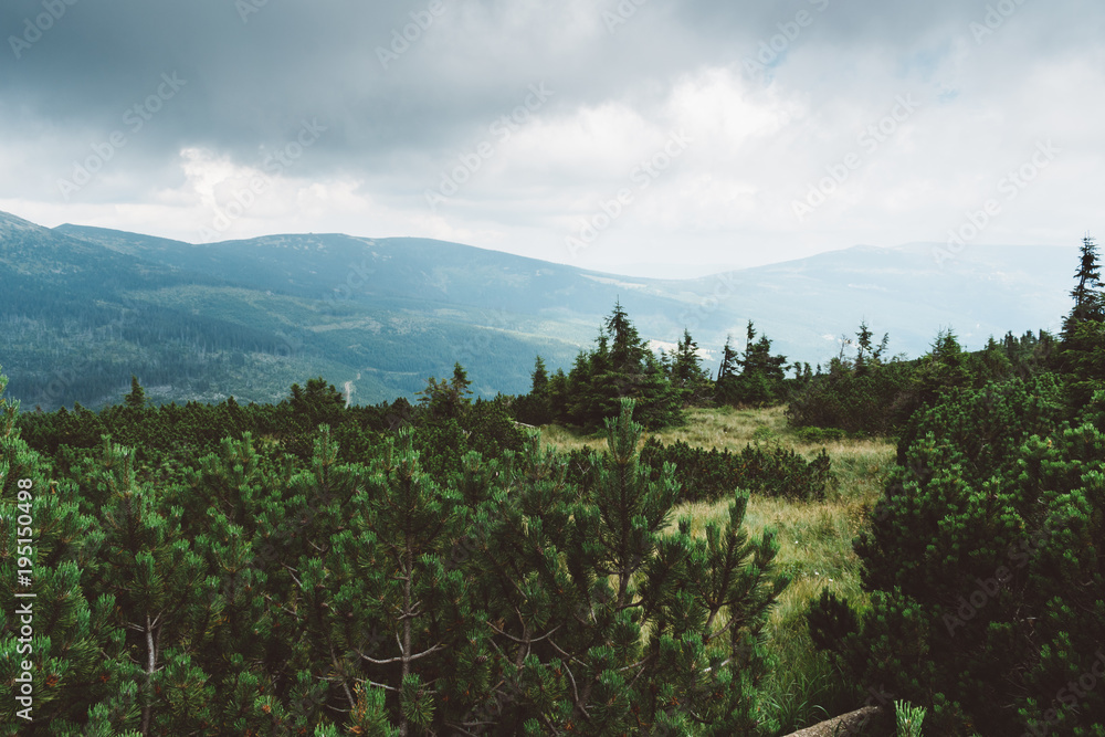 Beautiful landscape in the mountains. Nice green trees, forest and dark cloudy sky