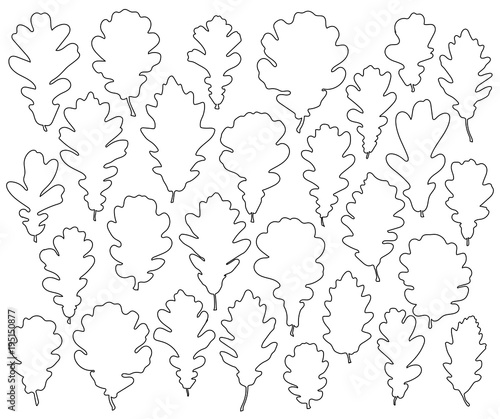 Oak leaves silhouettes set isolated on white background vectror