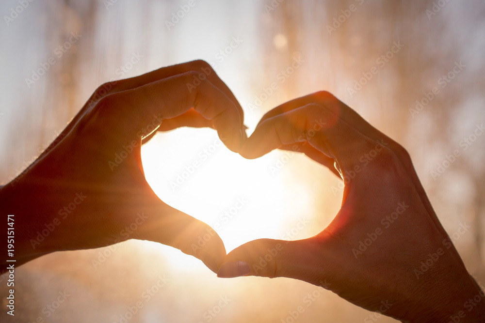 Obraz premium Female hands in the form of heart against window of sunlight. Hands in shape of love heart, silhouetted against the sun