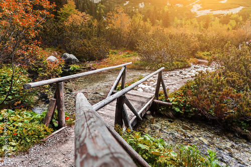 Fotografia Wooden footbridge across stream in the mountain forest, High Tatras
