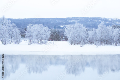 Beautiful frozen river with a trees on a bank. White winter landscape of central Norway. Light scenery.