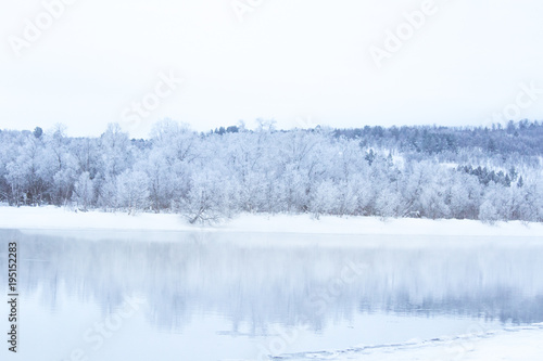 Beautiful frozen river with a trees on a bank. White winter landscape of central Norway. Light scenery. © dachux21