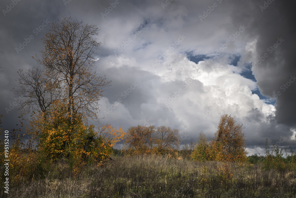 autumn landscape with dramatic sky
