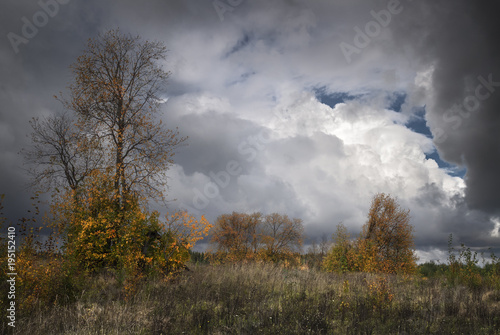 autumn landscape with dramatic sky © smolskyevgeny