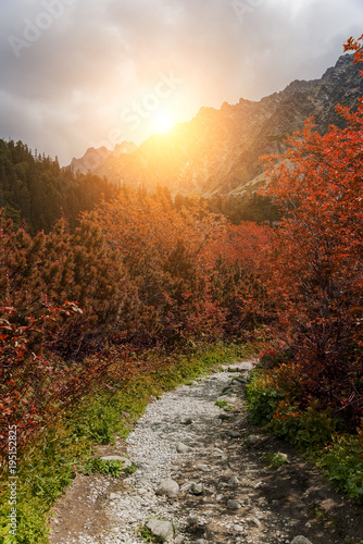 Forest autumn landscape in the mountains. High Tatras.