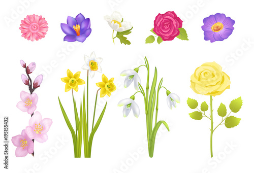 Spring Flowers Set Poster Vector Illustration