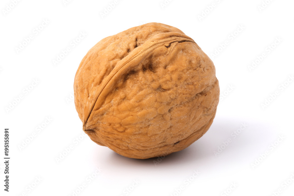 Single Walnut Single Walnut