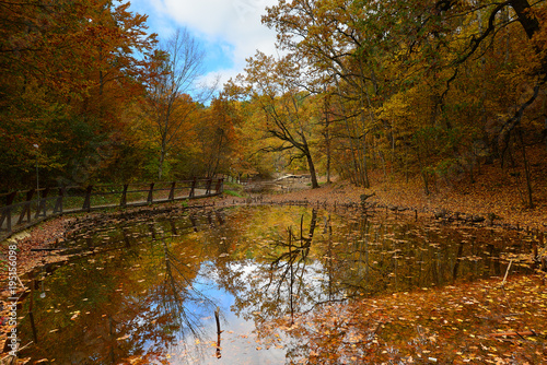 Autumn in nature