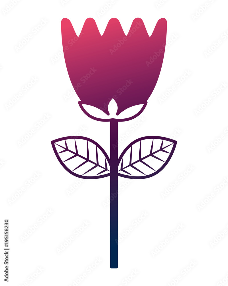 flower tulip stem petals decoration flower tulip stem petals decoration