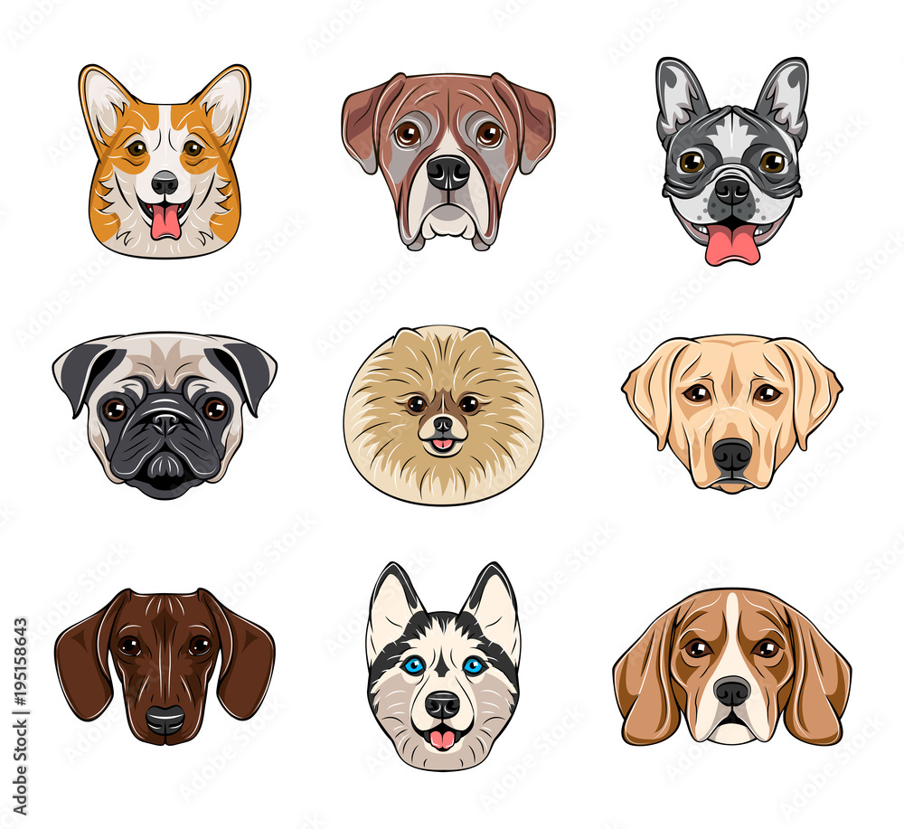 Cartoon dog faces set. Different breeds of dogs. Husky, corgi ...