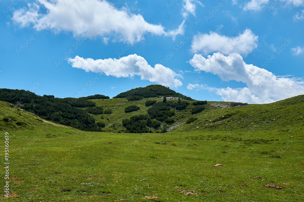 Fototapeta premium Freshly green valley covered in soft green vegetation with a sharp edge to the clear blue sky with white clouds