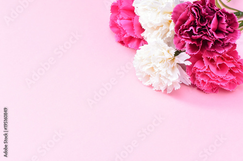 Fototapeta Naklejka Na Ścianę i Meble -  May Mother's Day Carnation Bunch of Flowers Bouquet Top View, Blank for Text,   Pink