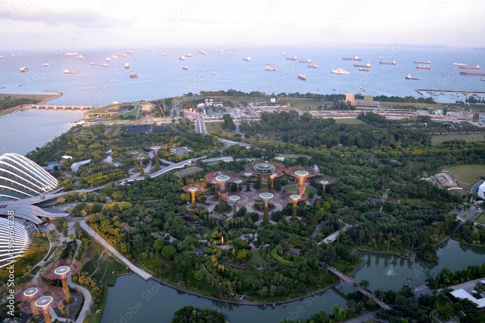 Fototapeta premium Cloud Forest, Singapore