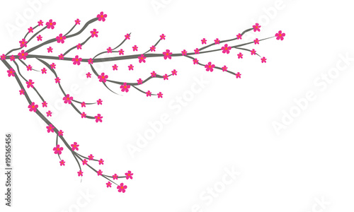 Ramas de árbol con flores rosas.
