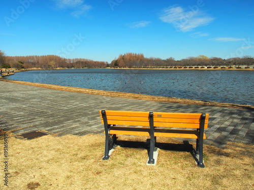 ベンチのある公園風景