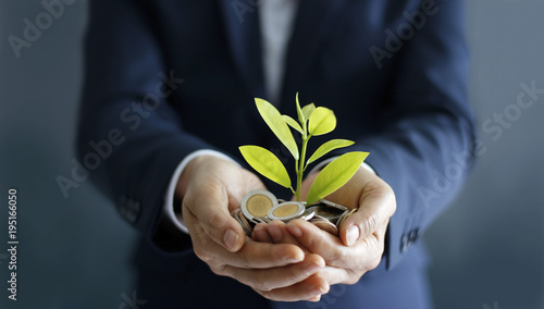 Foto Businessman hands with coins and sprout in palm