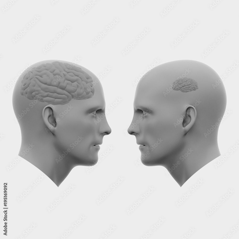 two male heads one with a large brain the other with a small. Minimalistic abstract art. Communication concepts. 3d rendering illustration two male heads one with a large brain the other with a small. Minimalistic abstract art. Communication concepts. 3d rendering illustration