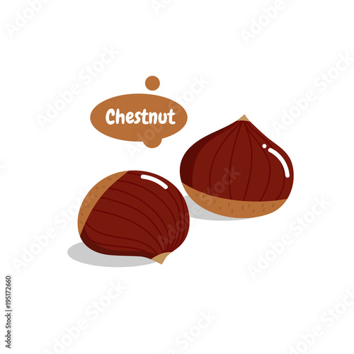 Chestnut isolated vector. Basic RGB