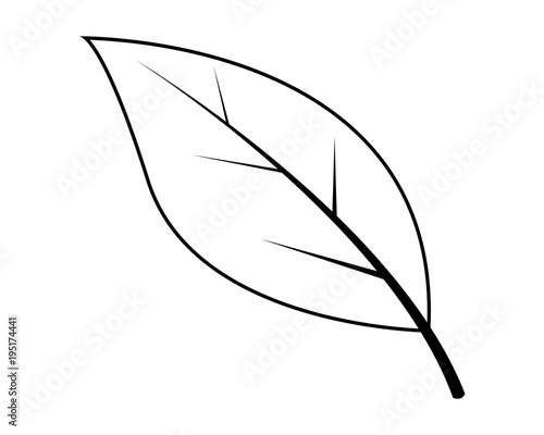 Leaf silhouette vector illustration  photo