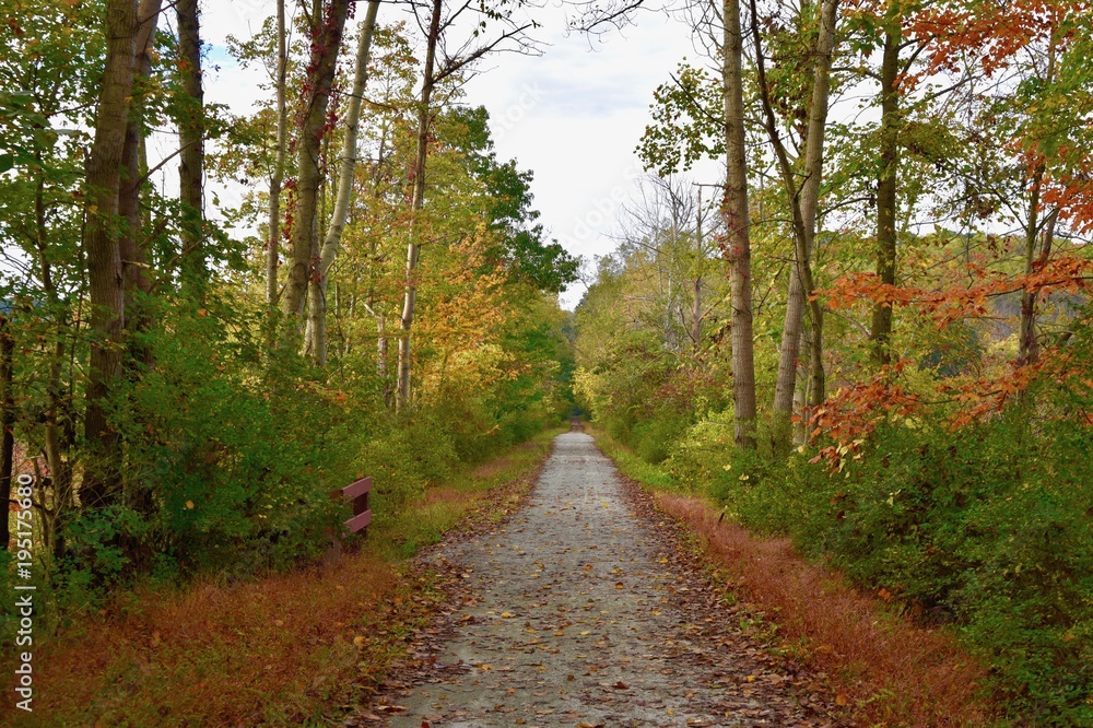 Scenic rails-to-trails path in autmun Scenic rails-to-trails path in autmun