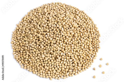 A lot of soybeans pile isolated on white background with copy space for text. Concept food for healthy. Soybean is a leguminous plant native to Asia, widely cultivated for its edible seeds.