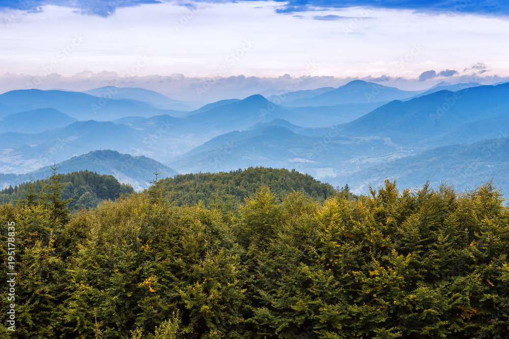 landscape of green forest and mountains